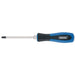 Draper Pound Thru Cross Slot Screwdriver, No.2x100m