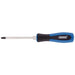 Draper Pound Thru' PZ Type Screwdriver, No.2 x 100mm