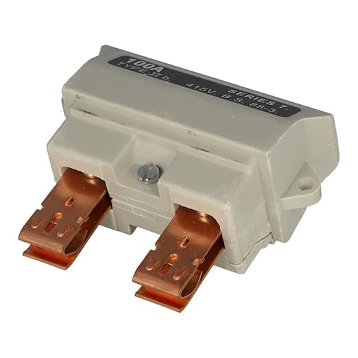 WT Henley Series 7 Main Head Cut Out 100A Single Pole Carrier (Fuse Not Included)