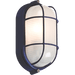 Knightsbridge 230V 60W Black Oval Bulkhead with Wire Guard and Glass Diffuser