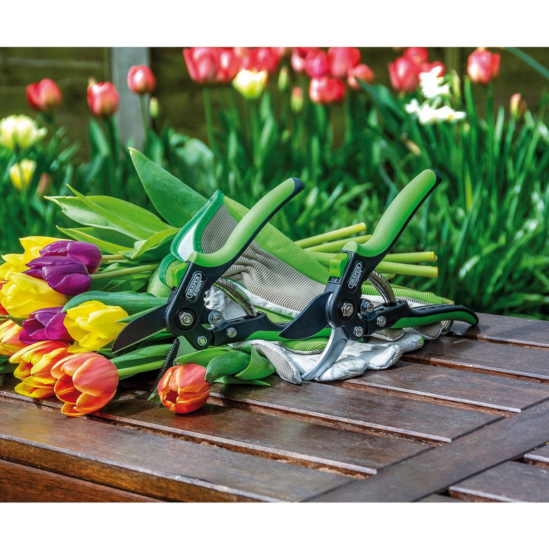 Draper Expert Anvil Pattern Secateurs