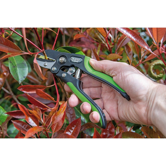 Draper Expert Anvil Pattern Secateurs