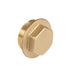 Embrass Peerless Brass Flanged Plug 1"