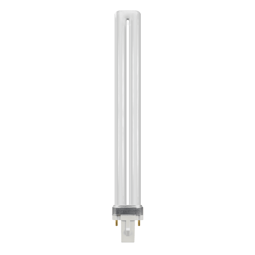 CFL Lamp