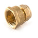 Embrass Peerless Compact Compression Coupler Female 22mm x 1/2"