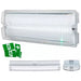 Knightbridge 230V IP65 4W LED Emergency Bulkhead