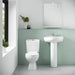 Fresssh Whitney Toilet To Go With Soft Close Seat