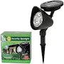 Outdoor Lighting